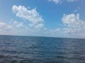IMG_20170724_122438