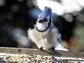 DSC00880