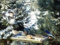 DSC02159