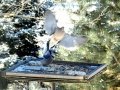 DSC02193