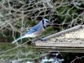 DSC05957