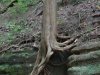 dsc01777