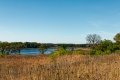 D85_1604z-nefa