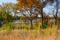 D85_1607z-nefa