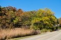 D85_1612z-nefa
