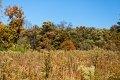 D85_1614z-nefa
