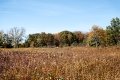 D85_1619z-nefa