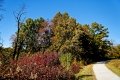 D85_1621z-nefa