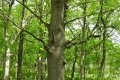 DSCN0206
