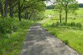 D85_1282a