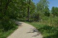 D85_1289a