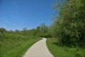 D85_1291a