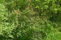D85_1292a