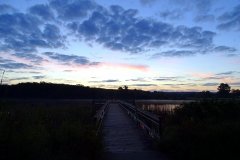 DSC03249