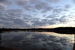 DSC03258