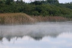 DSC03265
