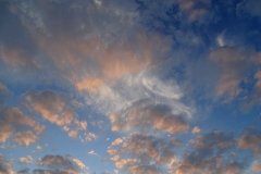 DSC03280