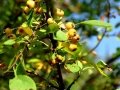DSC01572