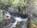 DSC00177