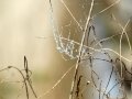 DSC00196
