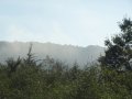 DSC00201