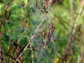 DSC00204