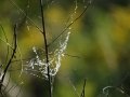 DSC00220