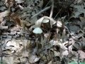 DSC00395