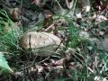 DSC00400
