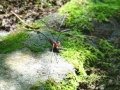 DSC00407
