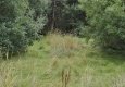 sdr