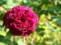 DSC04502