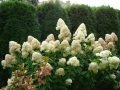 DSC04508