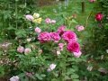 DSC04471