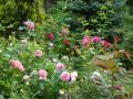 DSC04474