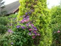 DSC04475