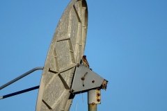 DSC09011