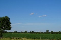 DSC09127