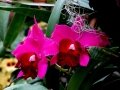 DSC04621