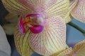 DSC08507