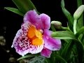 DSC04660