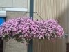 dsc01929