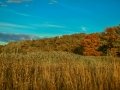 20131103-cdd_0812
