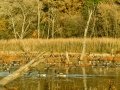 20131103-cdd_0846