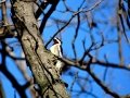 DSC05675.JPG