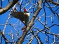 DSC05718.JPG