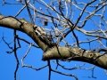 DSC05730.JPG