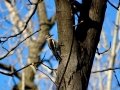 DSC05735.JPG