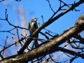 DSC05742.JPG