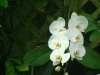 dsc04503s